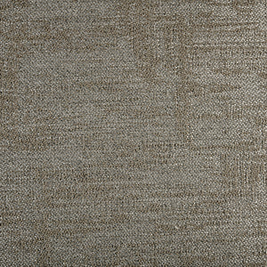 Artifact - Fossilized / brown