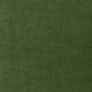 Gongbi - Fern / green