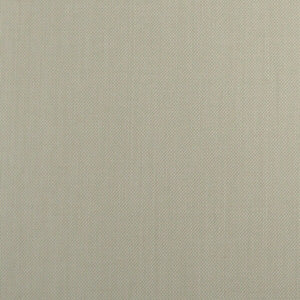 Overtones - Ginger Ale / beige