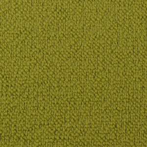 Santa Cruz - Kelp / green