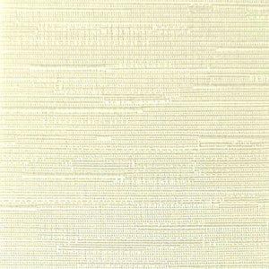 Tempo - Champagne / beige