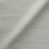 VISIONARY