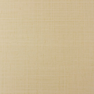 Basewall 83005-101 / Beige