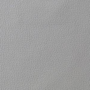 Avion - Sterling / Gray