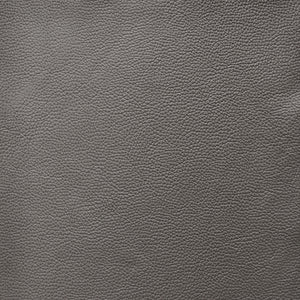 Cadence - Shale / Gray