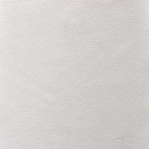 Cadence - Swan / White