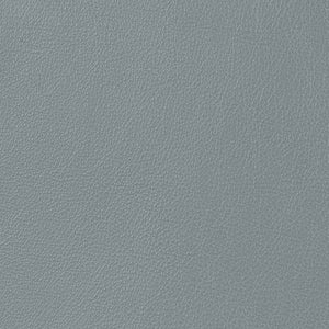 Caressa - Cool Gray / Gray