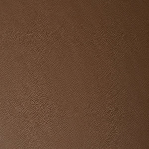 Caressa - Dachshund / Brown