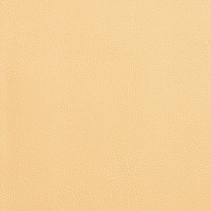 Caressa - French Vanilla / Beige