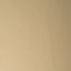 Caressa - Silk / Beige