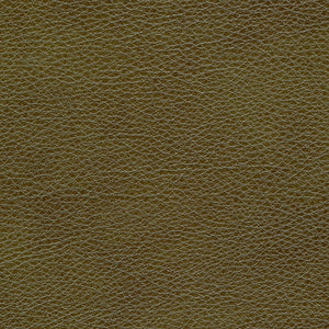 Charleston - Moss / green