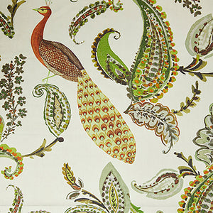 Domenico - 70 / green