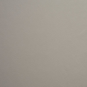 Flight - Gray Owl / Gray