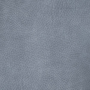 Kenya - Arctic / Blue