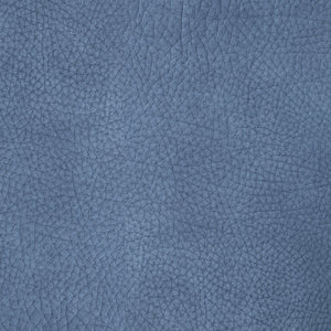 Kenya - Blue Jay / Blue