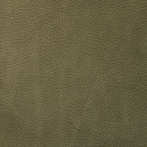 Kenya - Chive / Green