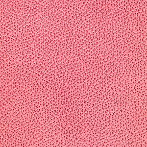 Mystique - Flamingo / Pink