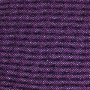 Pinturicchio - 150 / purple