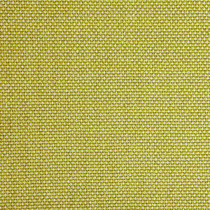 Pinturicchio - 180 / yellow