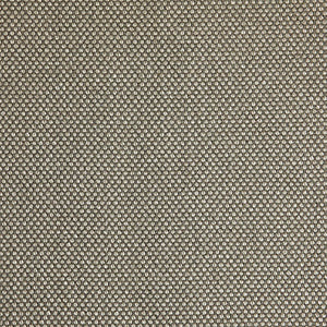 Pinturicchio - 40 / beige