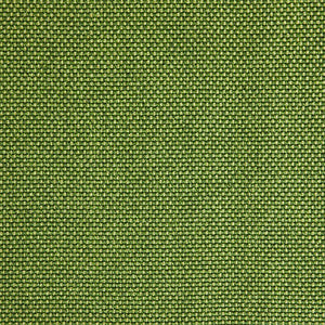 Pinturicchio - 71 / green