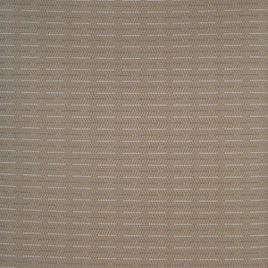 Pace - Beige / beige