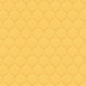 Polka - Wattle / yellow