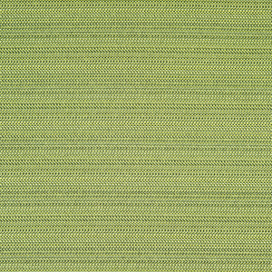 Prologue - Lime / green