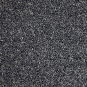 Scapigliata - 172 / gray