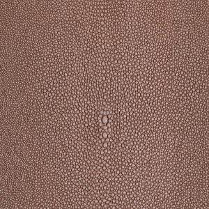 Shagarrett - Bloom / Beige