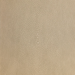 Shagarrett - Limestone / Beige