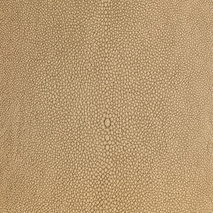 Shagarrett - Sandbar / Beige