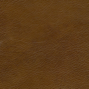 Starlight - Valdez / brown