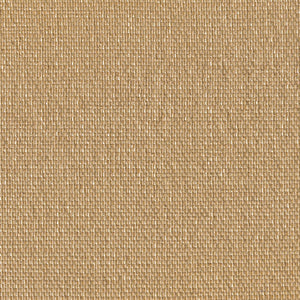 Glam - Dazzle / orange