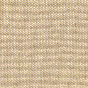 Glam - Glow / orange