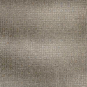 Pompeii - Mossy Ash / gray