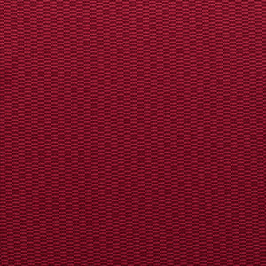 Cosmos - Rouge / red