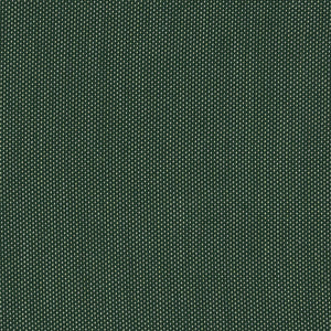 Royal Vista - Forest / green