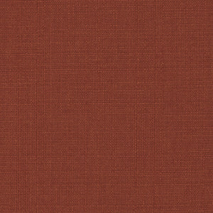 Scenic View - Autumn Sun / black