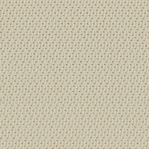 Serendipity - Morning Dew / beige