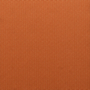 Cosmos - Spice / orange