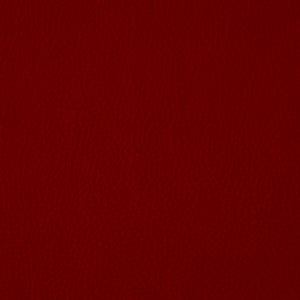 Syntonic - Chili / red